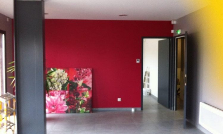 Entreprise SEUX Plâtrier peintre à Saint-Galmier - Rénovation intérieure 